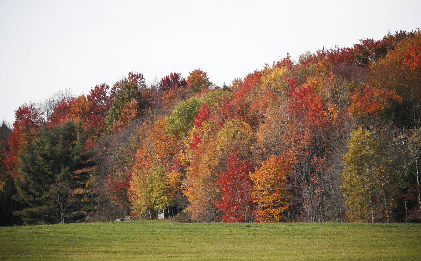 Hills of color